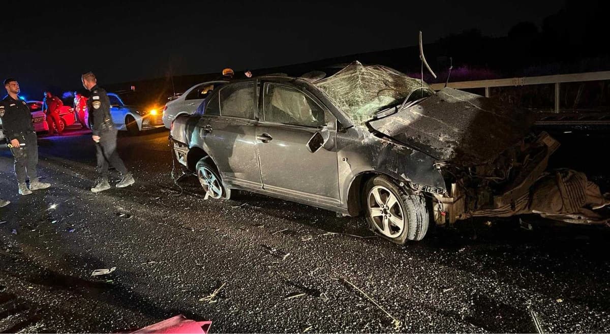 Article image for Understanding Liability in Car, Motorcycle, and Truck Accidents